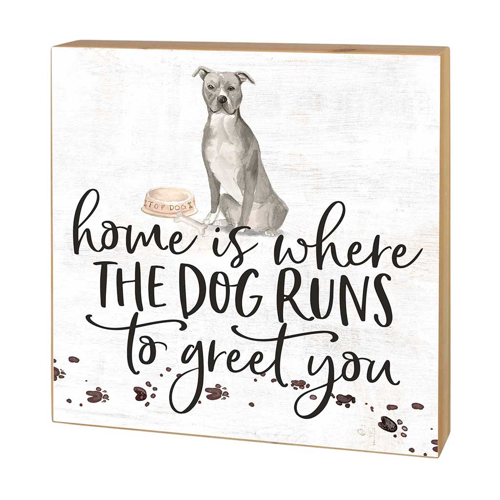 5x5 Block Home is Where Dog Runs to Greet American Staffordshire Terrier Gray